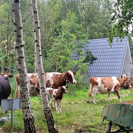 Vigio Brasta Camping Elektrenai Exterior foto